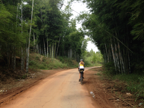 Karen-riding-in-bamboo