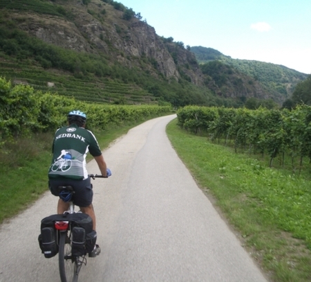 one of our clients cycling through a vineyard in Austria