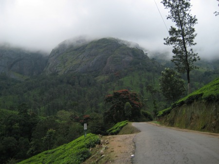 near Munnar, Kerala state