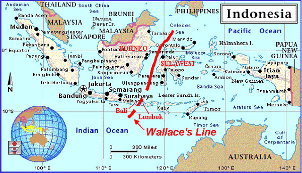 Wallace line | tdaglobalcycling.com