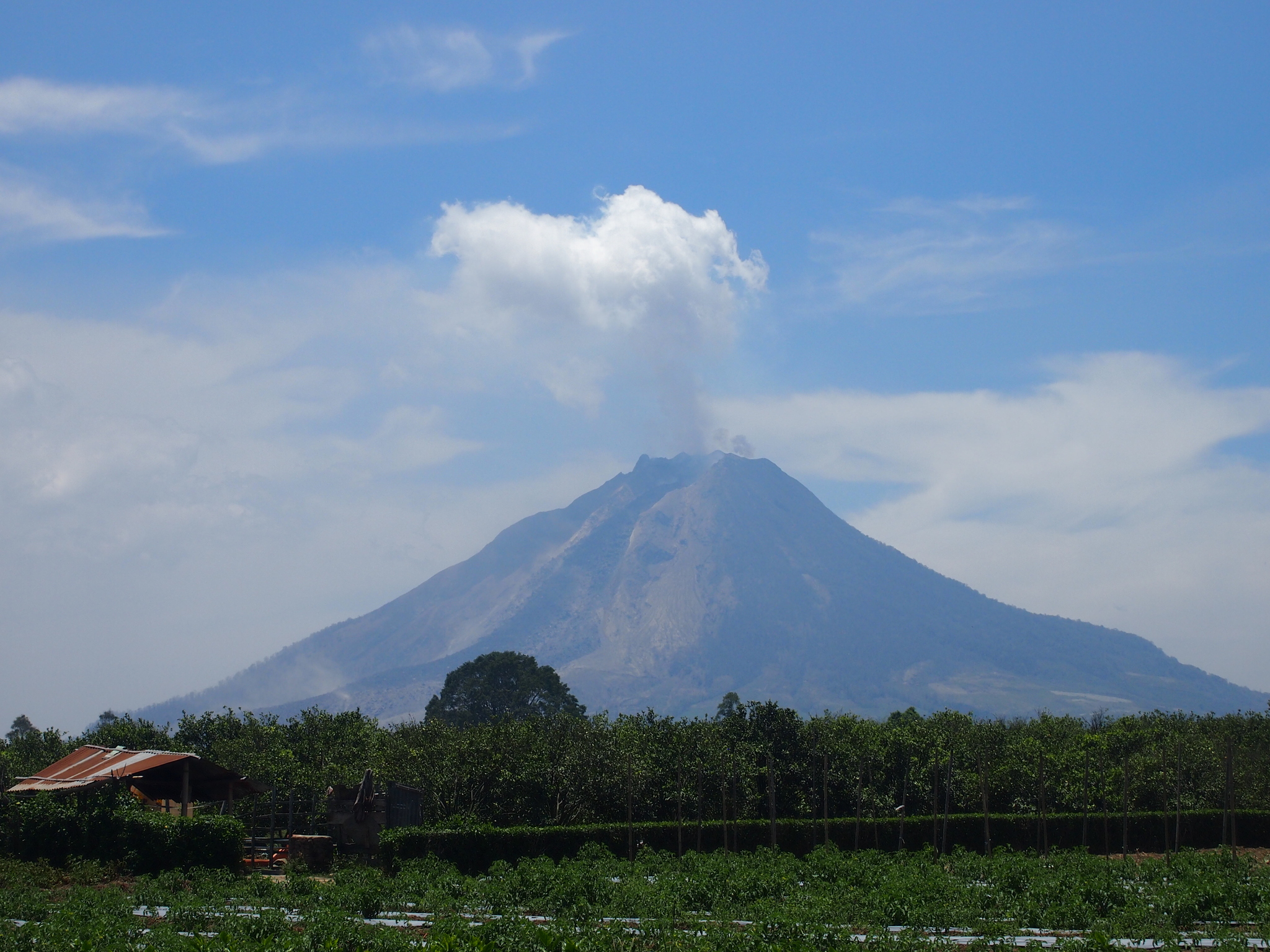 On Bicycles and Volcanoes | TDA Global Cycling