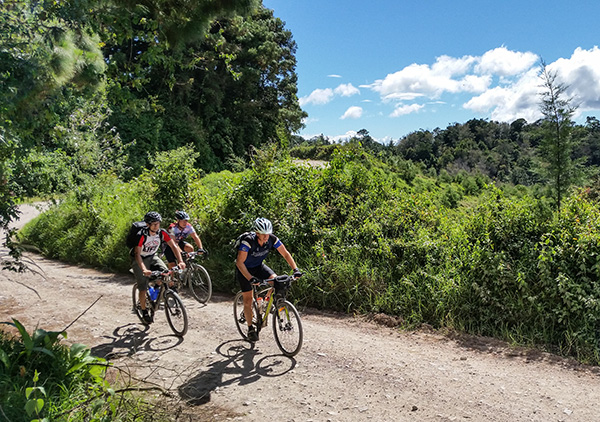 best bike for jungle circuit