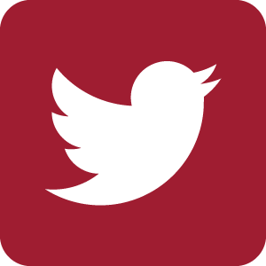 twitter-icon
