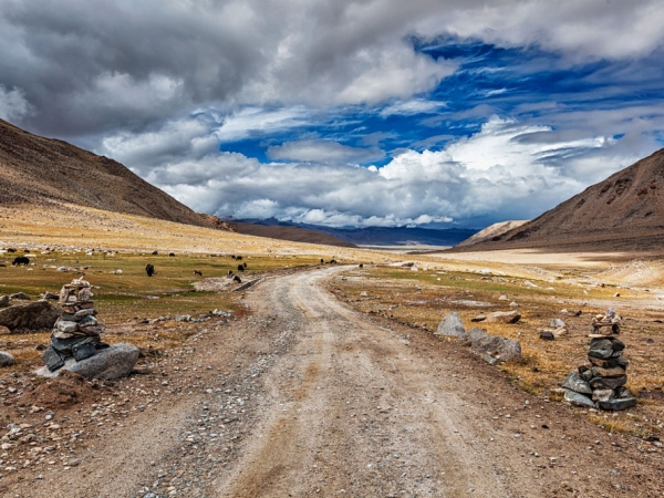Trans Himalaya Adventure – 'Because It Is There'