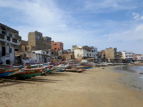 Reflections From Dakar