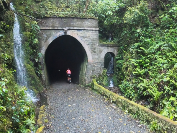 A change of pace - the Remutaka Rail Trail