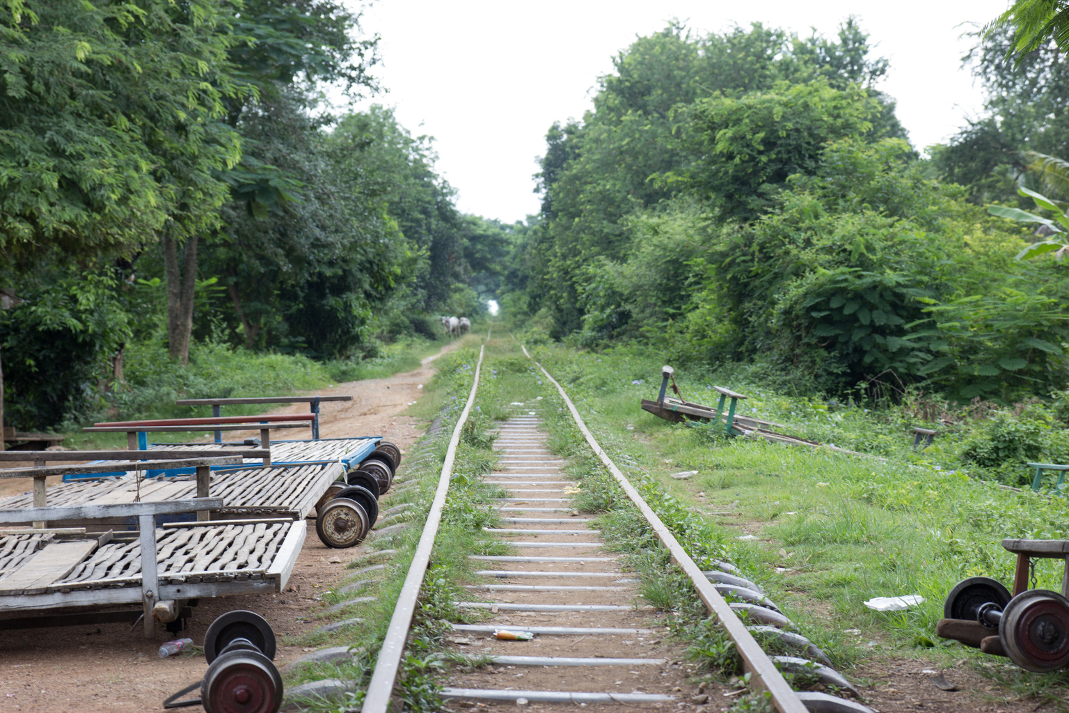 bamboo train