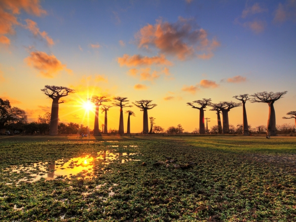 7 Magical Reasons To Visit Madagascar