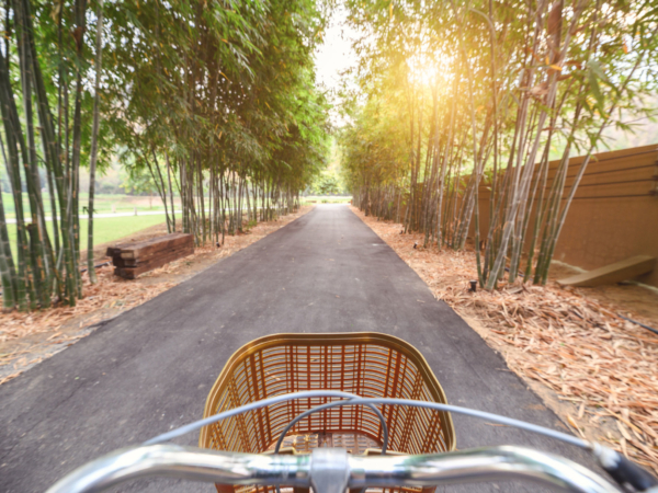 Zen & The Bamboo Road Bicycle Tour