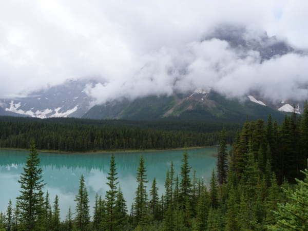 South Africans In The Great White North