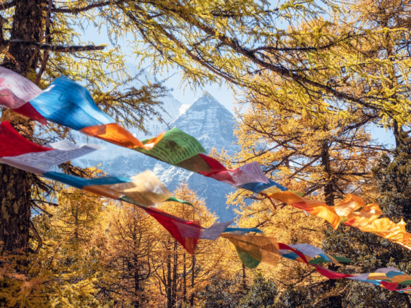 The Road To Shangri-La: A Cycling Quest For The Fabled Tibetan Kingdom