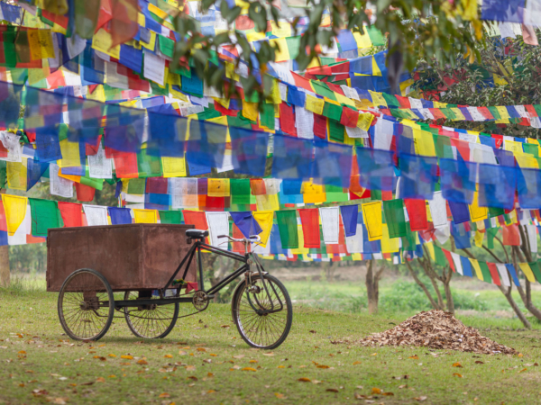 Cycling & Mysteries On The Trans Himalaya Cycling Tour
