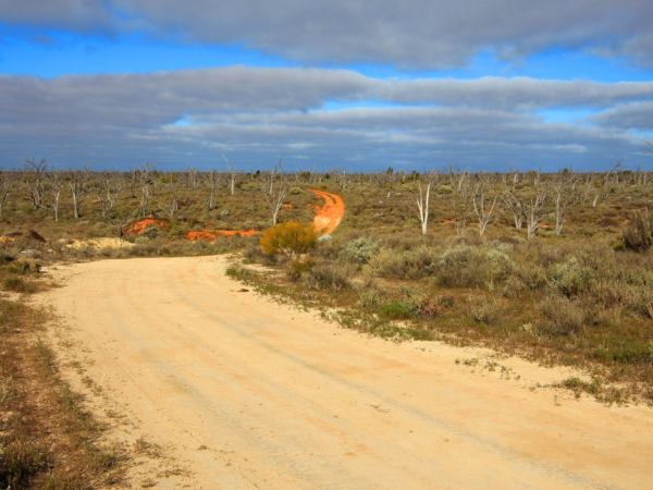 Cycling Australia's Iconic Savannah Way: Katherine To Cairns