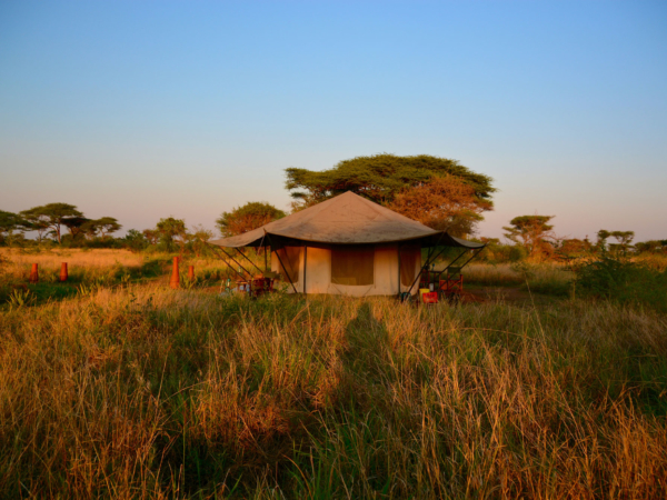 The Yin & Yang Of Camps & Hotels