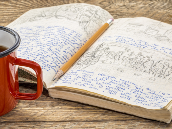 The 12 Best Blogs of 2019 - Staff Picks