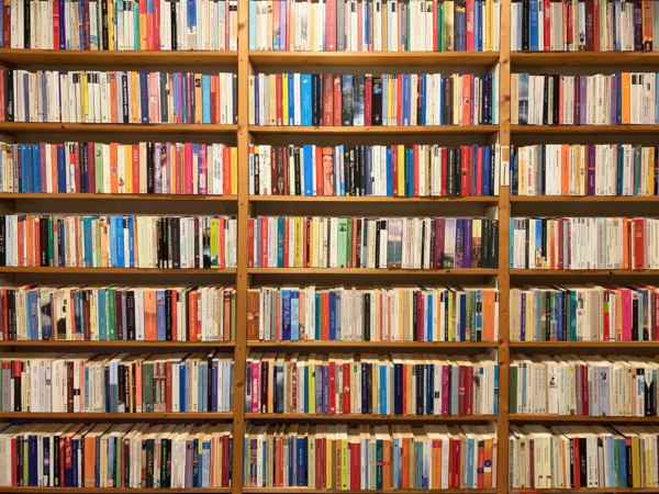 African Literature 301: Reading for the Tour d'Afrique - Fiction
