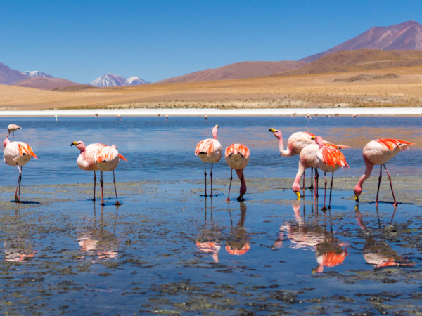 Miles' Memories Part 1: The South American Epic Cycling Expedition