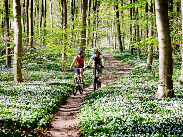 7 Reasons To Take A Challenging Weekend Ride ASAP
